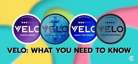 Velo